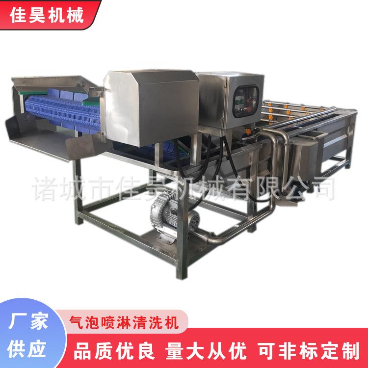 果蔬臭氧洗菜机全自动辣椒气泡清洗机不锈钢网带式金针菇清洗机