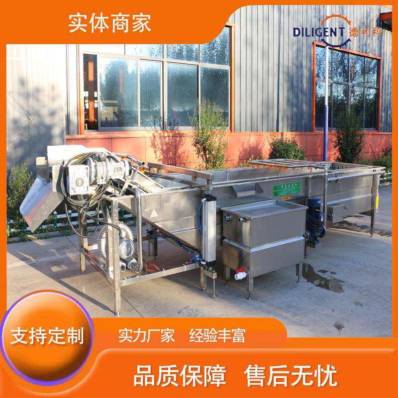 全自动气泡清洗机叶类蔬菜清洗机预制菜设备果蔬清洗机