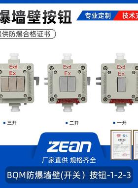 BQM防爆墙壁开关一开二开三开单联单控照明开关220V防爆灯具开关