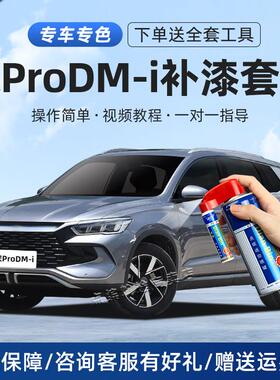 适用比亚迪宋prodmi补漆笔时光灰色冠军汽车划痕修复雪域白自喷漆