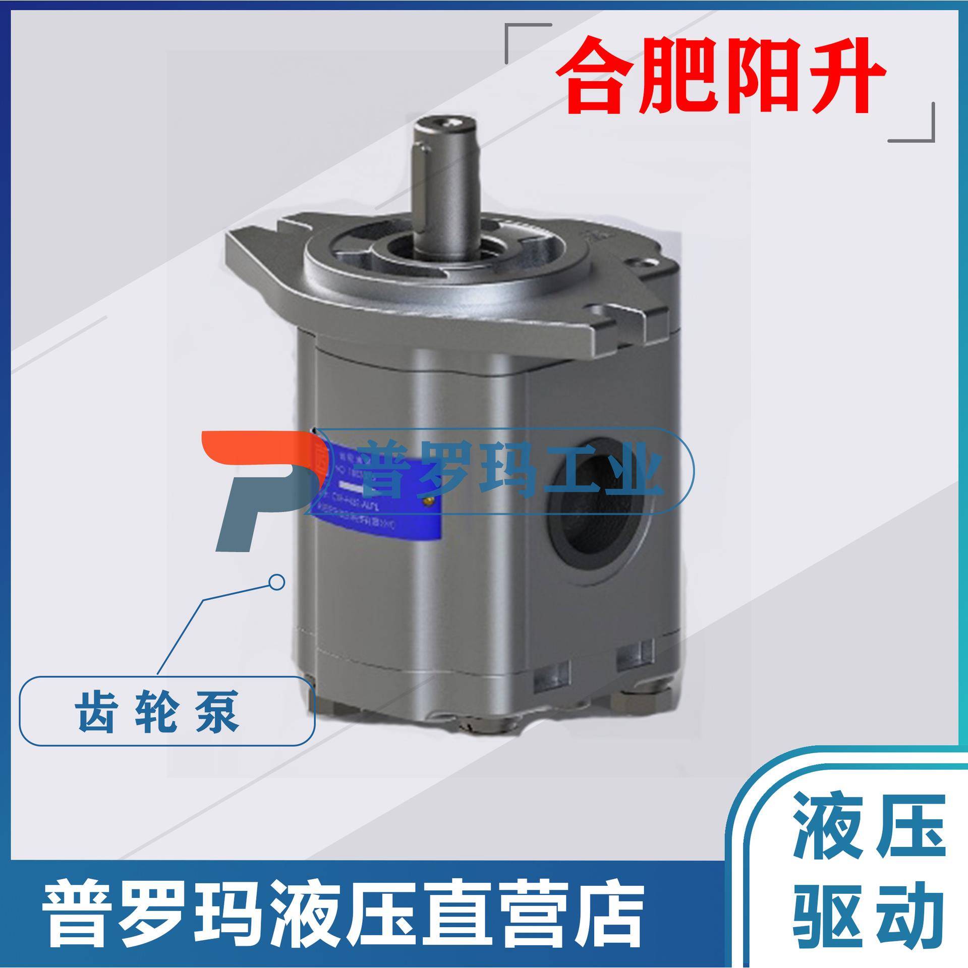 齿轮泵CBW-F304/F306/F310/F314/F316-/F320-ALP液压油泵