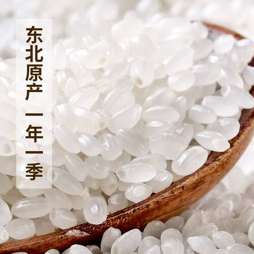圆粒珍珠米2025年黑龙江一级2.5Kg/5kg现磨新米大米精品东北大米