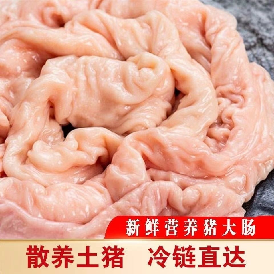 新鲜农家猪大肠散养带油肥肠生鲜猪大肠商用家用食材代发冷冻包邮