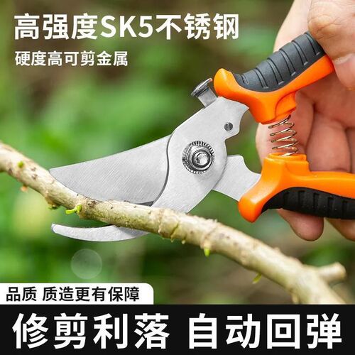 德国进口花剪枝园艺剪刀修枝剪省力修剪树枝果树竹签园林花卉专用