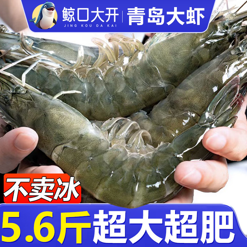 【鲸口大开】青岛大虾大号鲜活新海蜇
