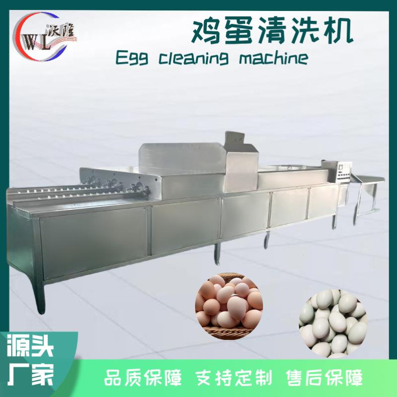 不锈钢蛋类清洗设备泥包蛋去泥洗蛋机养殖场鸡蛋清洗光检喷油机