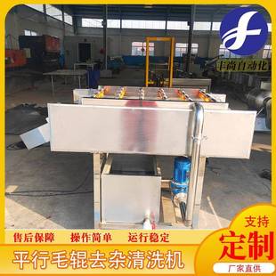 马铃薯毛辊去皮清洗机板蓝根毛辊清洗机根茎类植物去泥清洗机