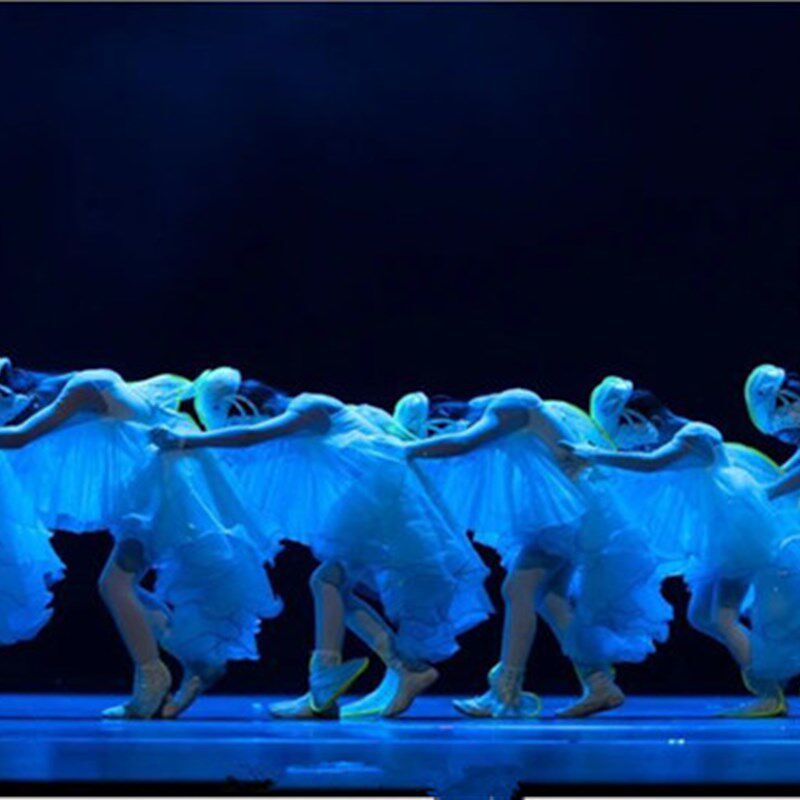 第十二届小荷风采小海豚儿童舞蹈演出服装幼儿蓬蓬裙小动物表演服