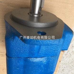 E63广东广液压铸机注塑机泵配件 FQ63高性能叶片泵液压油泵YB