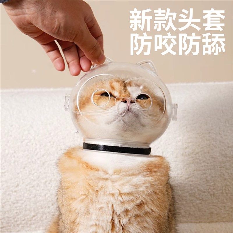 猫咪防咬头套太空头罩剪指甲洗澡防舔神器猫咪头罩圈宠物小猫幼猫,宠物/宠物食品及用品,宠物伊丽莎白圈,淘宝优惠券,粉丝福利购,淘宝优惠卷