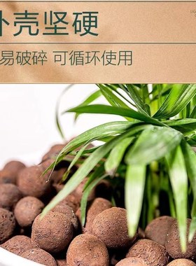 陶粒垫底多肉土陶土粒养花盆栽专用彩色透气铺面石回填火山石颗粒