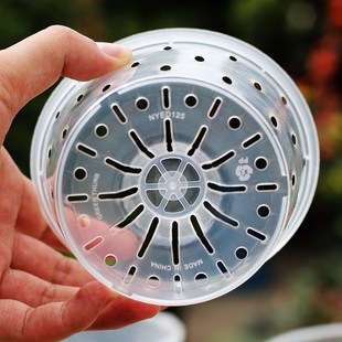 蝴蝶兰种植花盆雨滴高透明塑料带底孔透气兰科花盆桌面创意专用盆