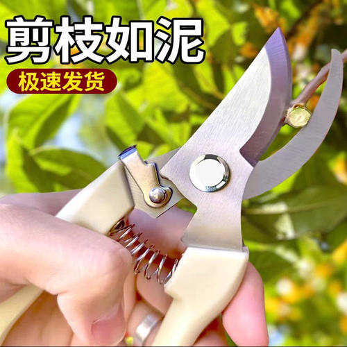 园艺修枝嫁接强力省力剪刀