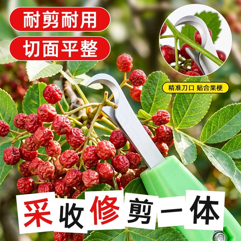 新款农用摘花椒剪专用工具图片