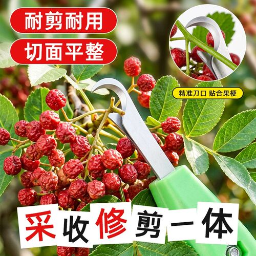 新款农用摘花椒剪专用工具