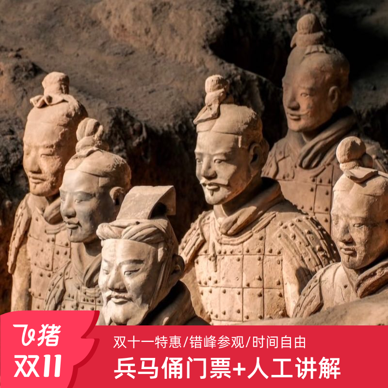 [秦始皇帝陵博物院（兵马俑）-门票]兵马俑门票+人工讲解+无线耳麦