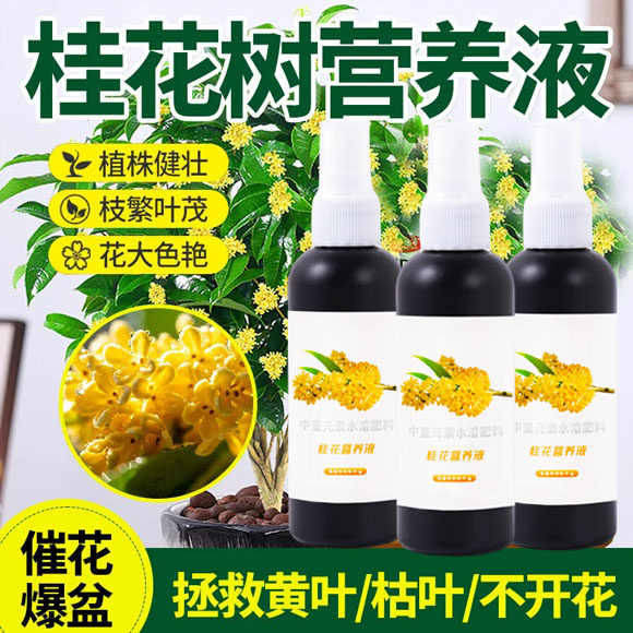 桂花树专用营养液促花爆花肥
