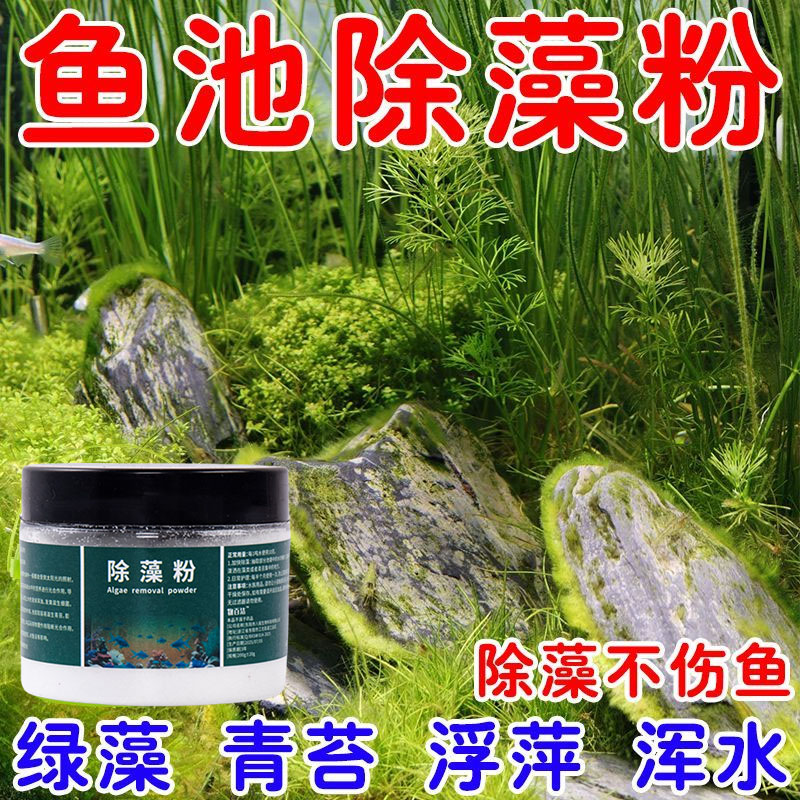 鱼池除藻鱼缸青苔绿藻蓝藻室外除藻粉浓缩粉水培净化锦鲤水族