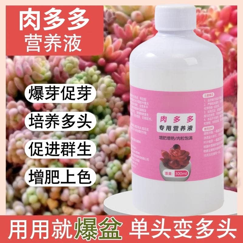 肉多多专用营养液肉肉增色