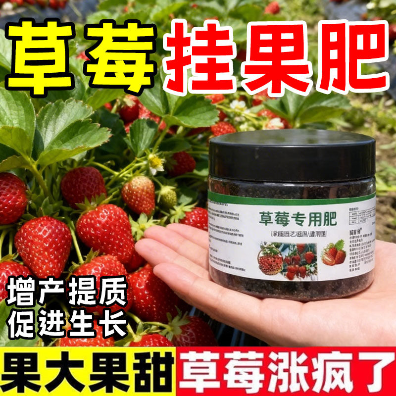 草莓肥料专用肥家用盆栽颗粒肥