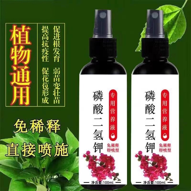 磷酸二氢钾营养液通用型叶面肥