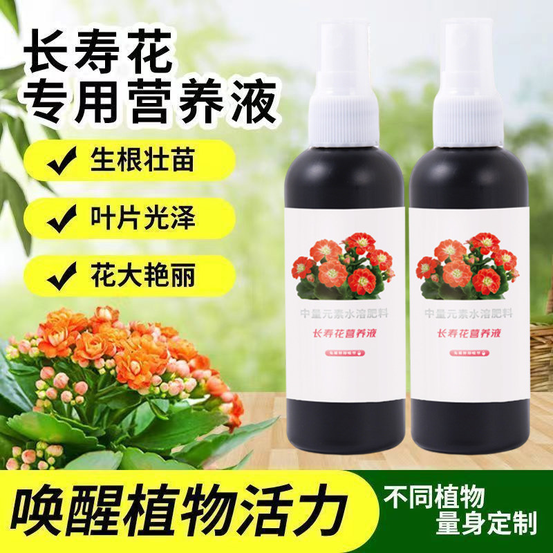 长寿花专用营养液开花养花促花专用肥料喜酸性植物叶面喷施营养液