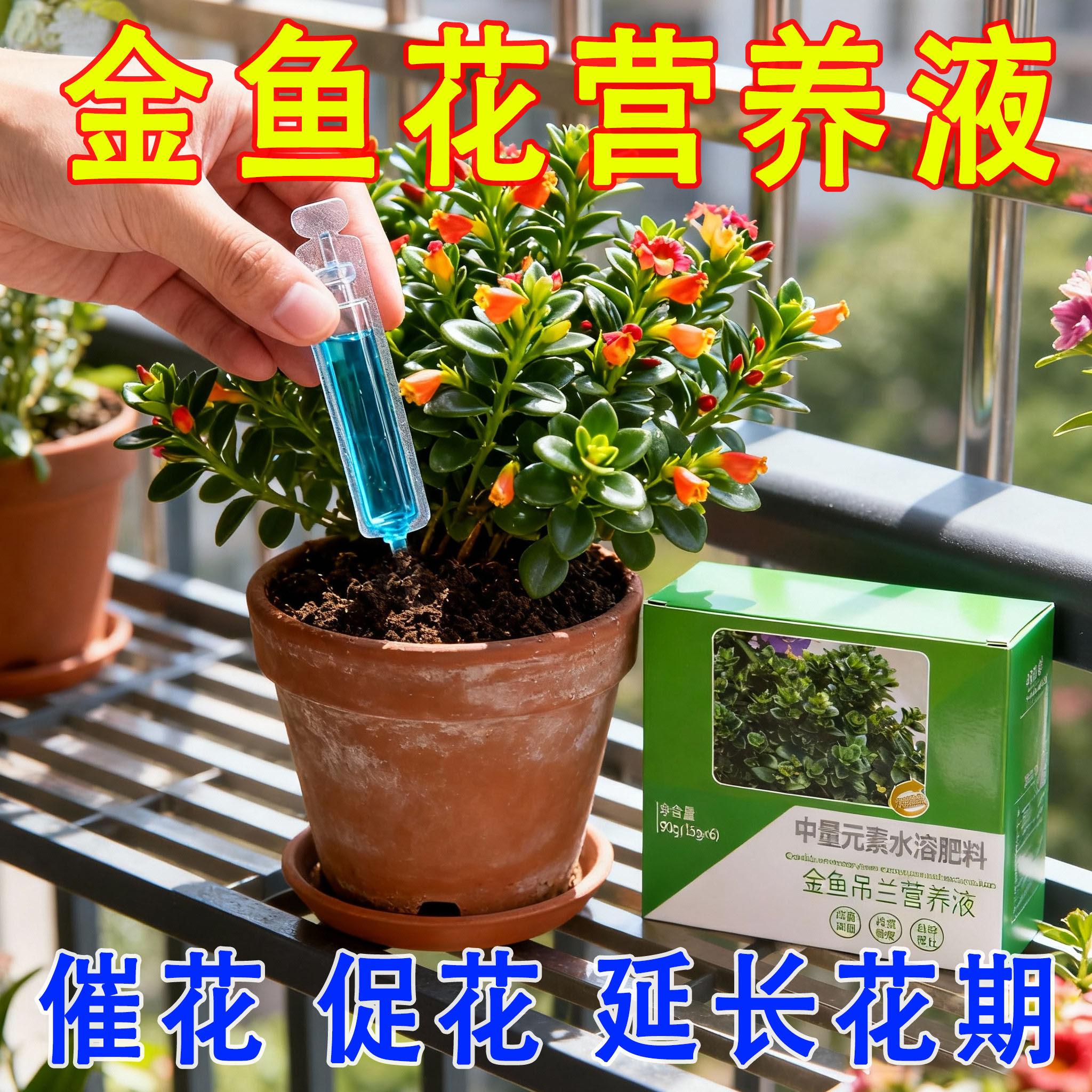 【爆盆】金鱼吊兰专用营养液催花苞助开花治黄叶掉叶徒长免稀释肥
