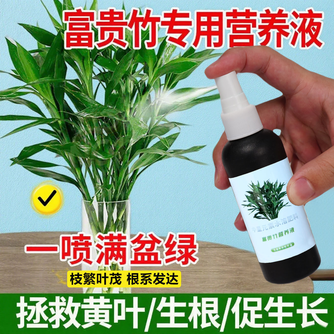 观音竹富贵竹专用营养液防黄叶