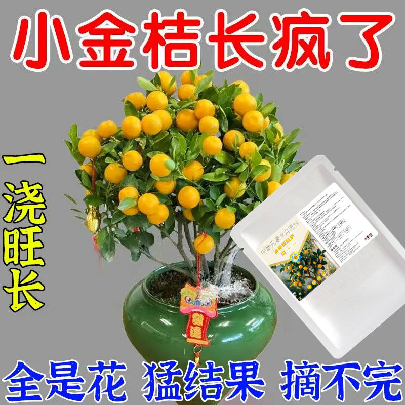 金桔橘子树专用营养液柑橘盆栽防黄叶促开花坐果促果增甜水溶肥料