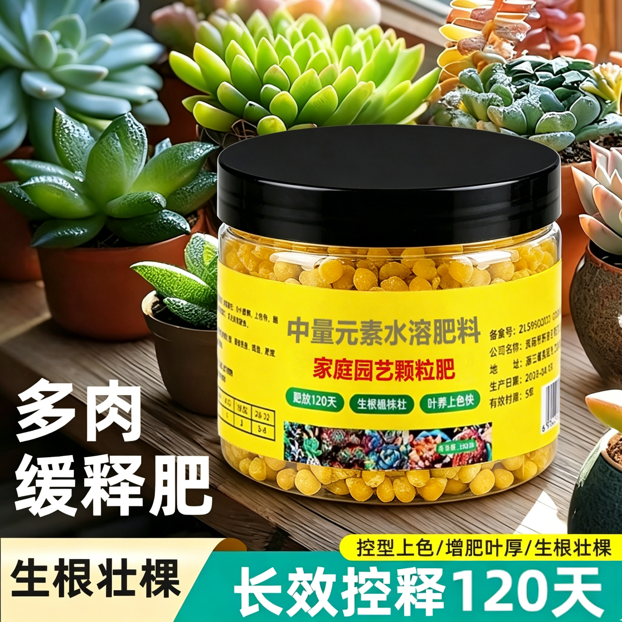 家庭园艺控释肥多肉肥料专用肥多肉控释肥增肥多肉营养液颗粒肥