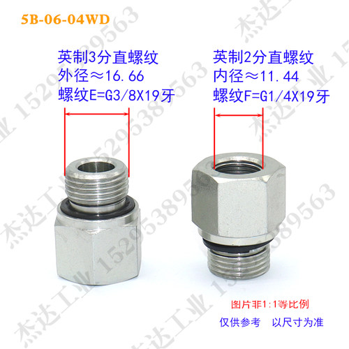 5B-WD过渡液压接头高压油管对丝补芯内外丝转换外螺纹英制ED密封