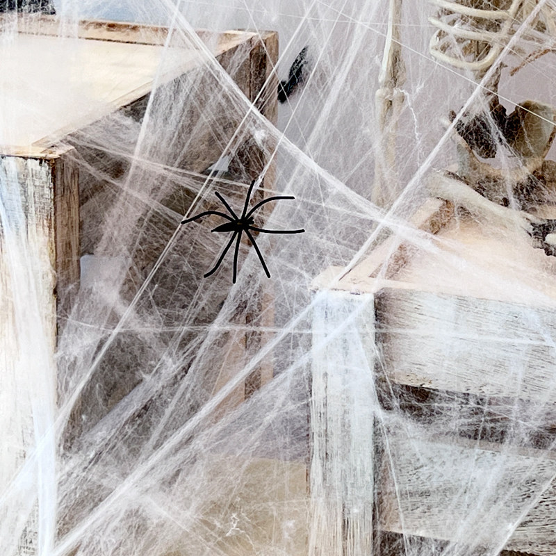 新品万圣b节装饰蜘蛛网鬼屋户外场景布置仿真假蜘丝恐怖主题氛围,模玩/动漫/周边/娃圈三坑/桌游,其它,淘宝优惠券,粉丝福利购,淘宝优惠卷