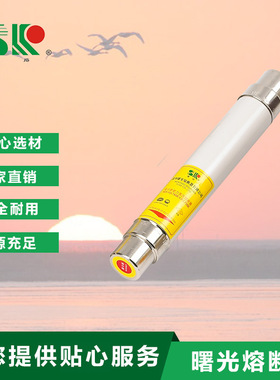 极速温州曙光熔断器XRNT1-12KV/3.15-4M0A电流可选 高压限流熔断