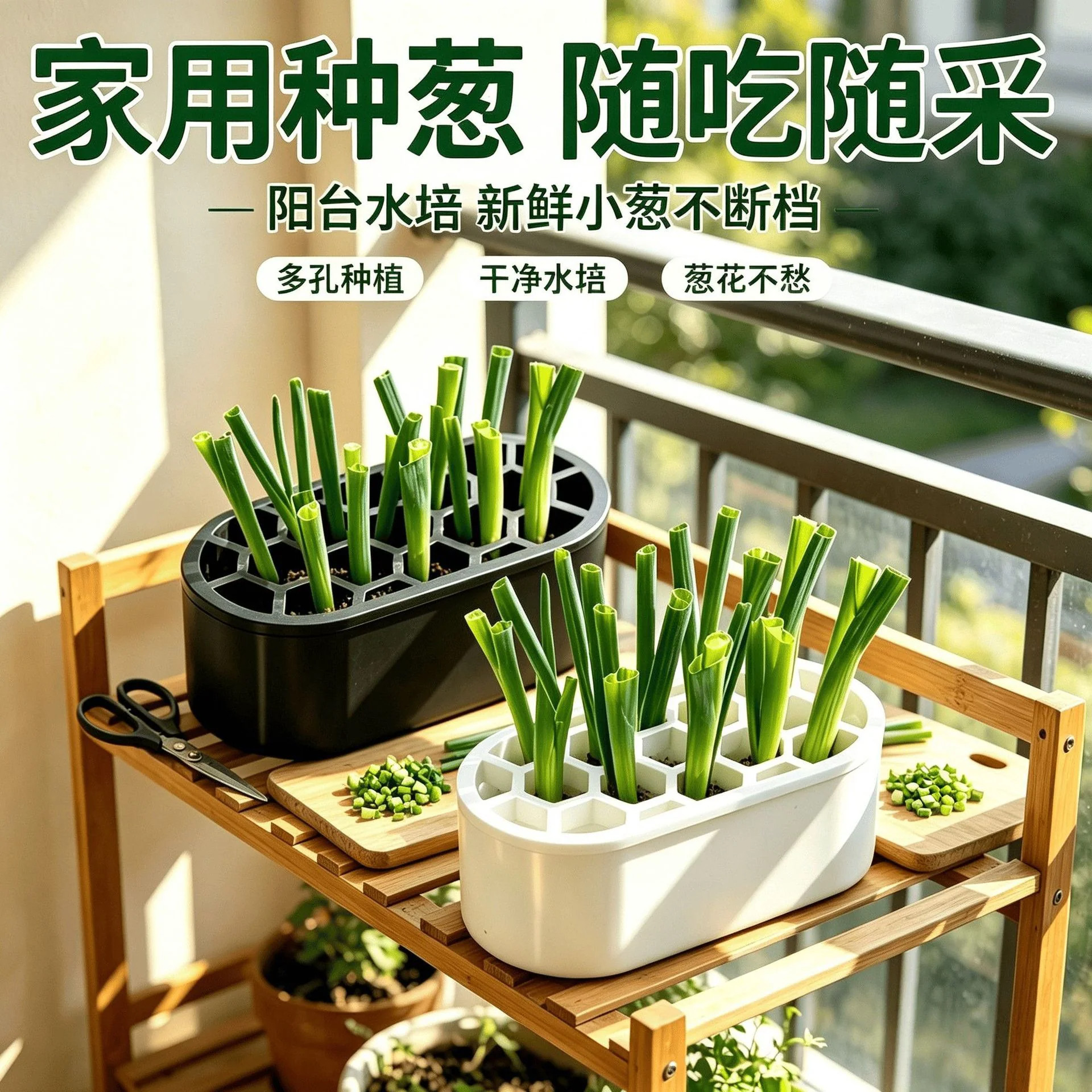 多用途水培种植盒多孔育苗盘阳台