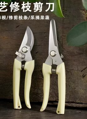新款园艺剪修枝剪花剪园林剪花艺