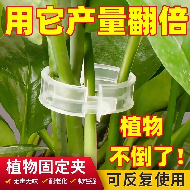 黄瓜西红柿豆角爬藤枝条固定器