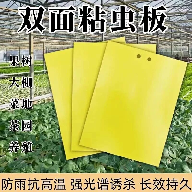 双面黄板粘虫板大棚果园诱虫