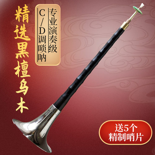 玄鹤唢呐乐器全套初学者专业乌木唢呐c调d调送配件哨片