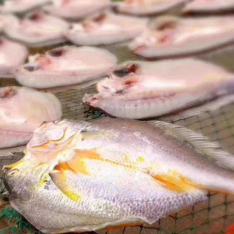 舟山正宗黄鱼鲞东海新晒干货深海大黄鱼干半野生黄花鱼干