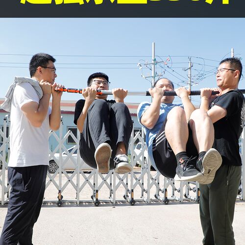 日本艾瑞泽高空锯进口锯子修枝伸缩高枝锯园林原装高枝剪园艺锯树