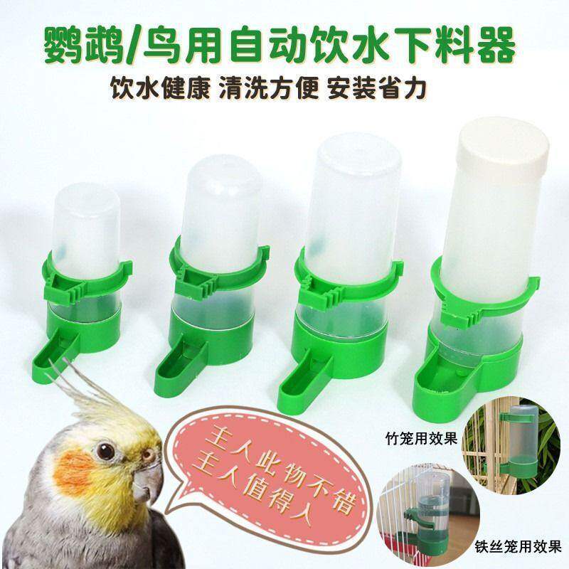 鸟用饮水器下料器鹦鹉玄凤牡丹虎图片
