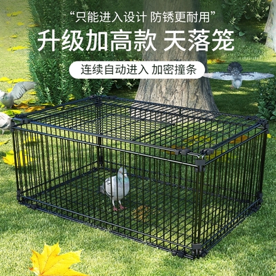 天落笼加密只进不出鸽子笼撞门笼活络门自动回收鸽子神器室外鸽笼