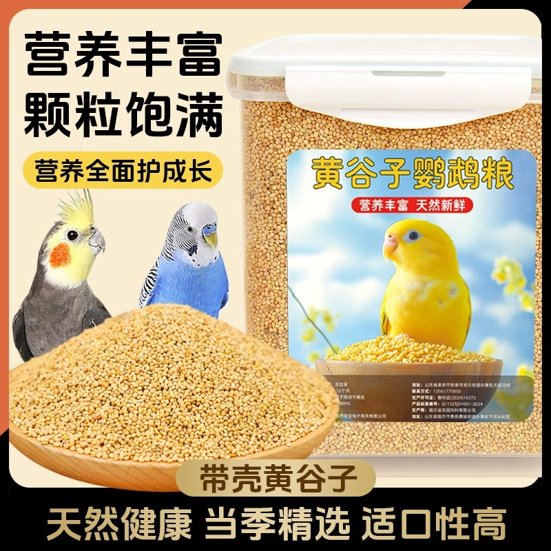 鹦鹉鸟粮饲料新黄谷子带壳小米