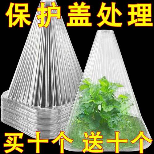 育苗保护罩重复使用方形植物钟罩大棚免受鸟类霜冻伤害保护防虫袋