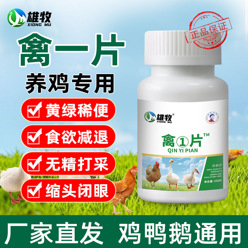 雄牧禽一片养鸡专用正品水便绿便