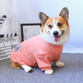 幼犬泰迪法斗大型犬 冬天秋冬春秋款 宠物狗狗柯基衣服毛衣秋装 冬装