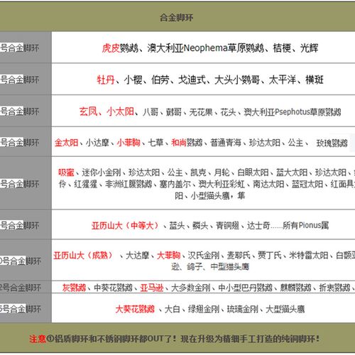 加长版鹦鹉脚链八哥太阳站架链/活动扣不锈钢鹦鹉脚环/鸟笼链