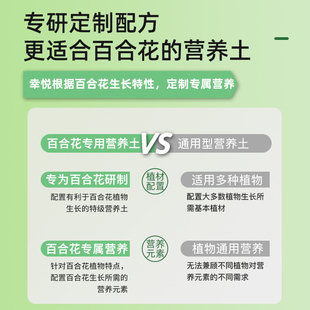 种百合花专用营养土养花专用通用种球土泥土种花土壤种植土肥料