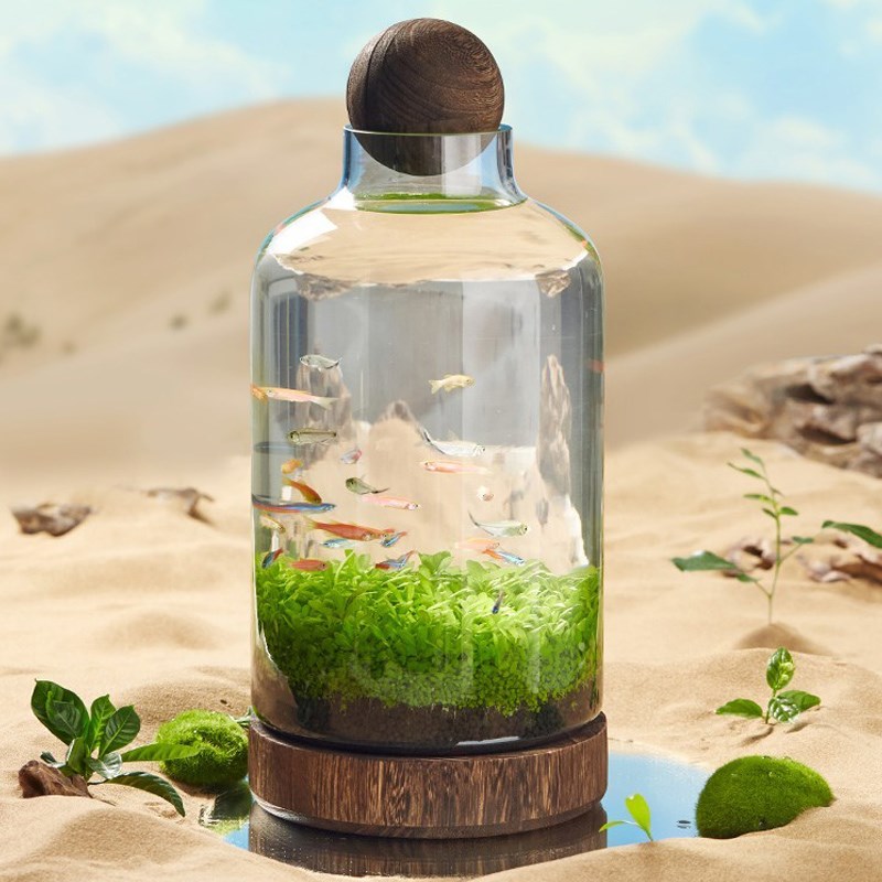 生态瓶鱼缸创意造景玻璃微景缸办公桌面免换水免打理观鱼缸真水草