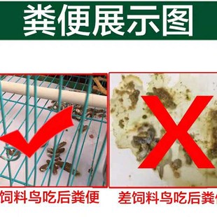 鸟食饲料 2500克 唱鸟料斗鸟料画眉鸟专用提性营养提性壮膘料鸟粮